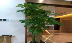 ԰���̻��쾰ֲ������