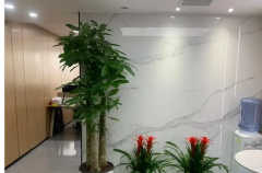 �̻����� ��ֲ��� �辰����